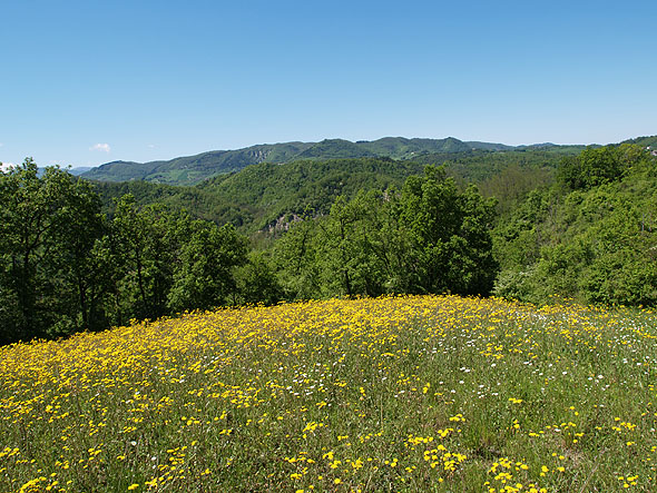 Oasi naturalistica del Carmine